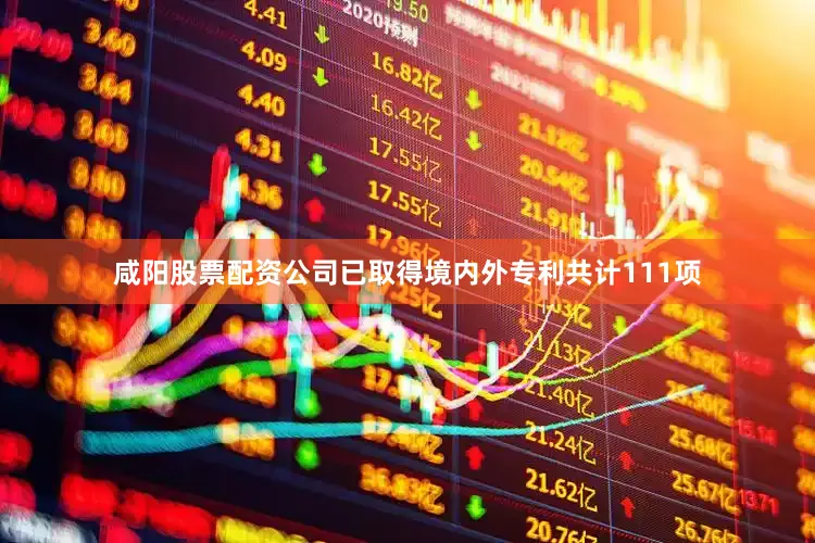 咸阳股票配资公司已取得境内外专利共计111项