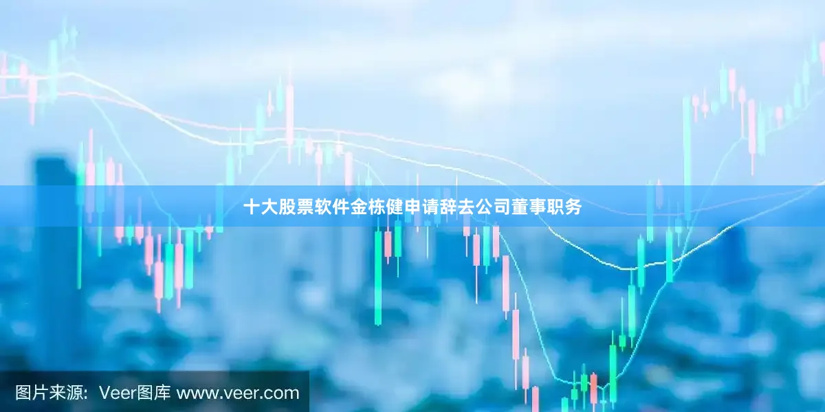 十大股票软件金栋健申请辞去公司董事职务