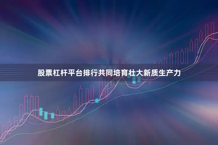 股票杠杆平台排行共同培育壮大新质生产力