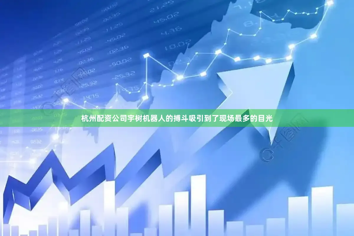 杭州配资公司宇树机器人的搏斗吸引到了现场最多的目光