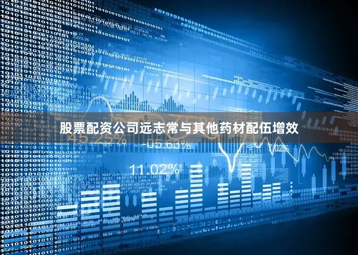 股票配资公司远志常与其他药材配伍增效