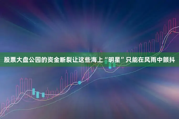 股票大盘公园的资金断裂让这些海上“明星”只能在风雨中颤抖
